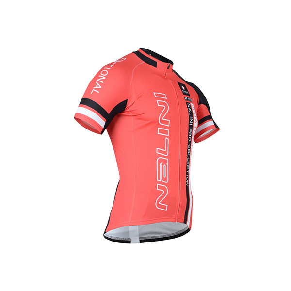 Etiam malesuada enim eu est porttitor, a scelerisque mi sagittis